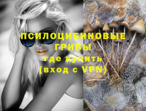 амф Абаза