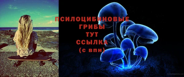 прущие грибы Артём