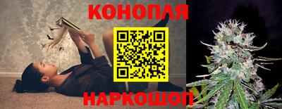 spice Кунгур