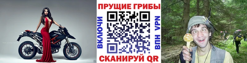 Галлюциногенные грибы GOLDEN TEACHER купить закладку Иваново