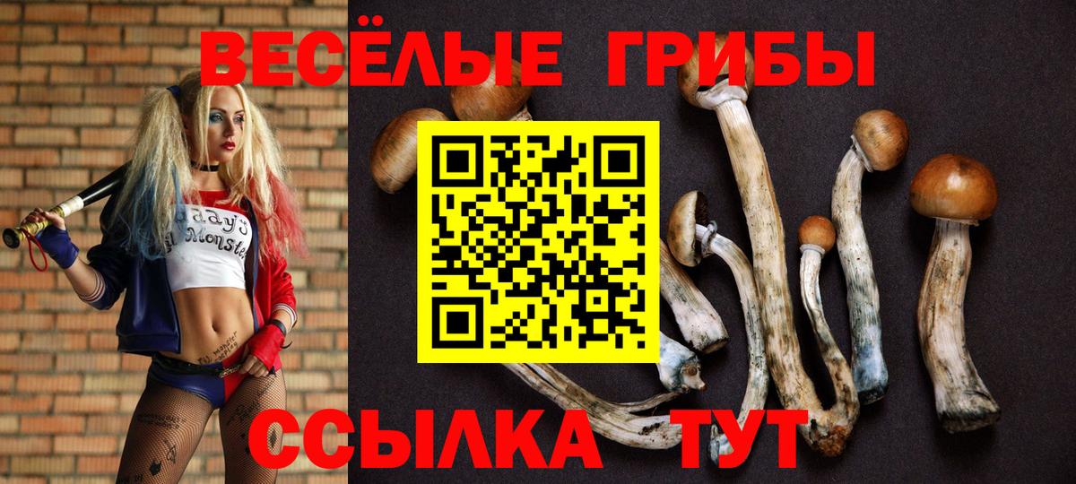 Галлюциногенные грибы Cubensis  Галлюциногенные грибы мухоморы  Иваново  Вход с VPN 