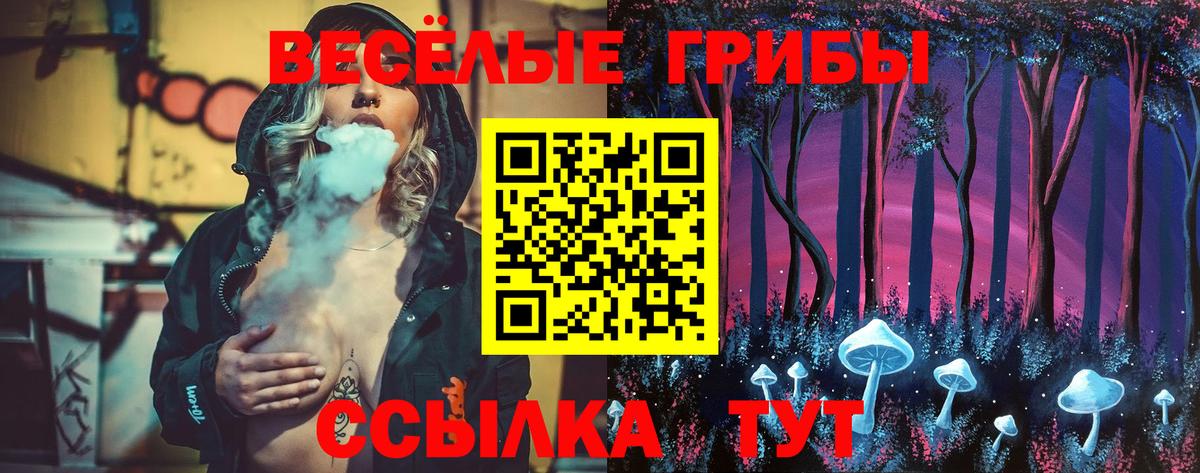 Псилоцибиновые грибы MAGIC MUSHROOMS Иваново