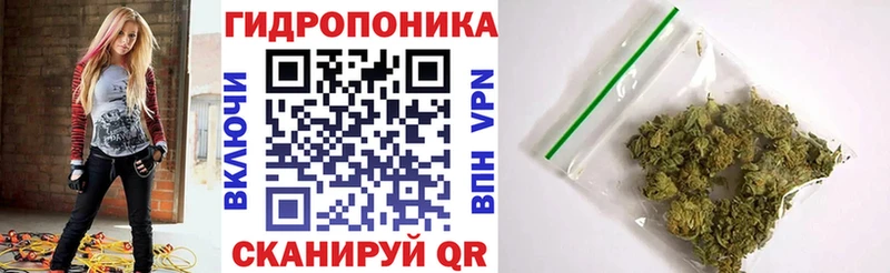 Конопля гибрид  купить наркотик  Иваново 
